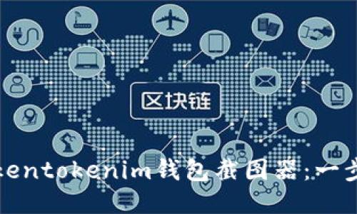 如何生成Tokentokenim钱包截图器：一步一步的指南