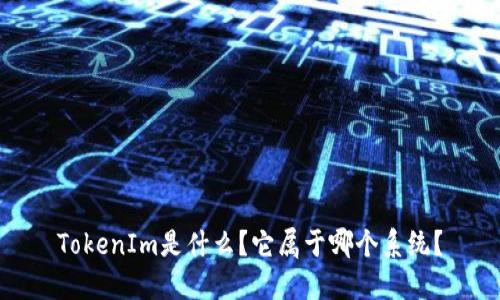 TokenIm是什么？它属于哪个系统？