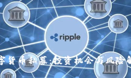 数字货币私募：投资机会与风险解析
