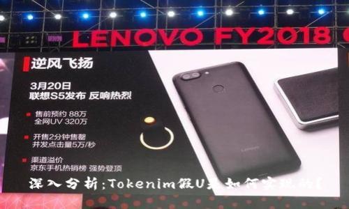 深入分析：Tokenim假U是如何实现的？