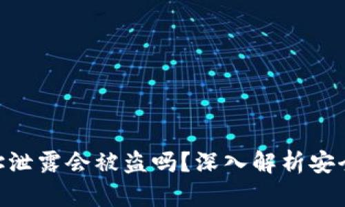 TokenIM钱包地址泄露会被盗吗？深入解析安全隐患与防范措施