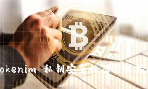 Tokenim 私钥安全性及管理指南
