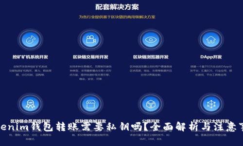Tokenim钱包转账需要私钥吗？全面解析与注意事项