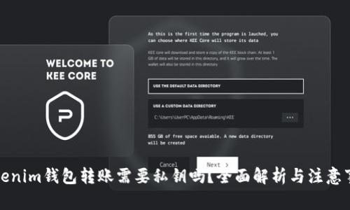 Tokenim钱包转账需要私钥吗？全面解析与注意事项