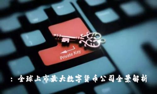 : 全球上市最大数字货币公司全景解析