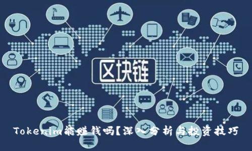 Tokenim能赚钱吗？深入分析与投资技巧
