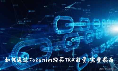 如何通过Tokenim购买TRX能量：完整指南