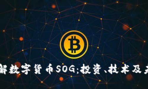 深入了解数字货币SOG：投资、技术及未来展望