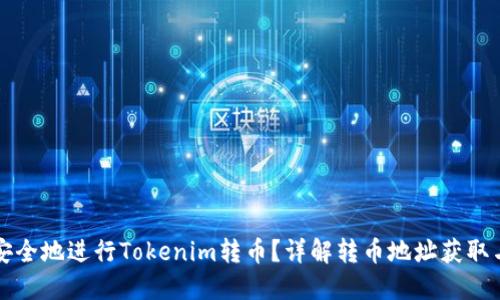 如何安全地进行Tokenim转币？详解转币地址获取与使用