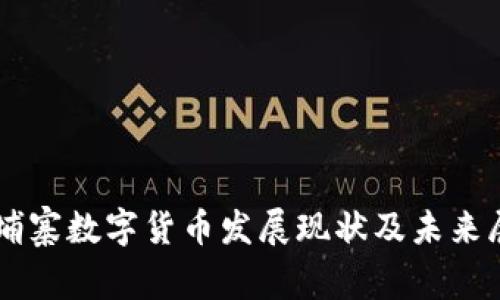 柬埔寨数字货币发展现状及未来展望