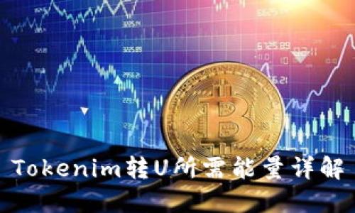 Tokenim转U所需能量详解