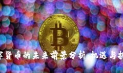 HCT数字货币的未来前景分析：机遇与挑战并存