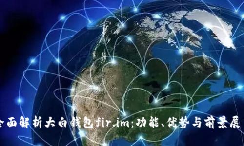 全面解析大白钱包fir.im：功能、优势与前景展望