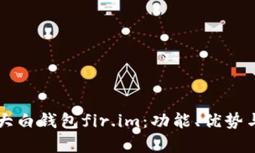 全面解析大白钱包fir.im：功能、优势与前景展望