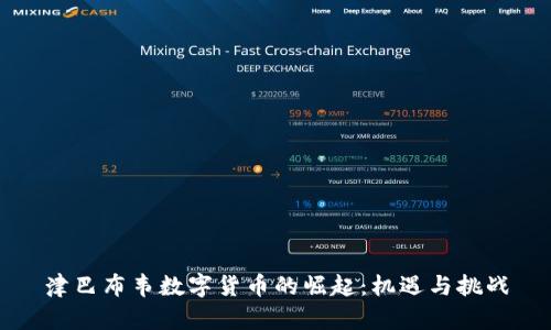 津巴布韦数字货币的崛起：机遇与挑战