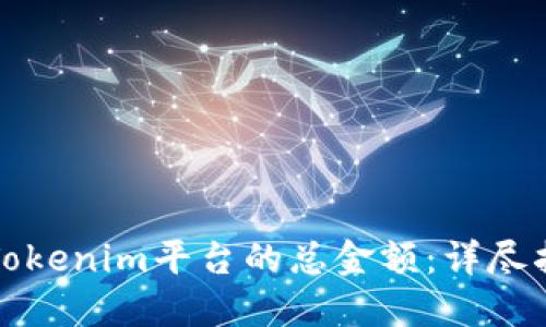 如何查看Tokenim平台的总金额：详尽指南与技巧