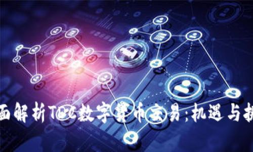 全面解析TDC数字货币交易：机遇与挑战