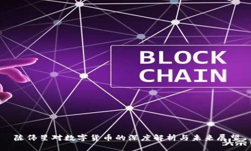 陈伟星对数字货币的深度解析与未来展望