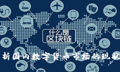 深入解析国内数字货币市场的现状与未来