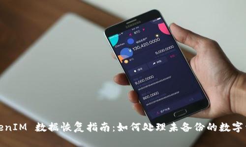 TokenIM 数据恢复指南：如何处理未备份的数字资产