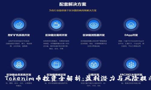 : Tokenim币投资全解析：盈利潜力与风险提示