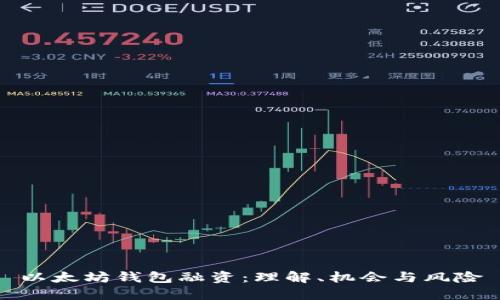 以太坊钱包融资：理解、机会与风险