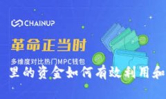 Tokenim 里的资金如何有效利用和操作指南