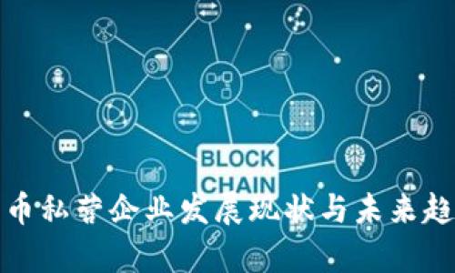 数字货币私营企业发展现状与未来趋势分析