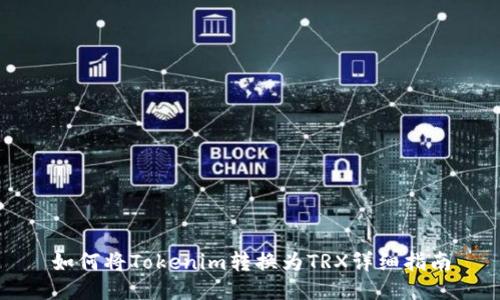 如何将Tokenim转换为TRX详细指南