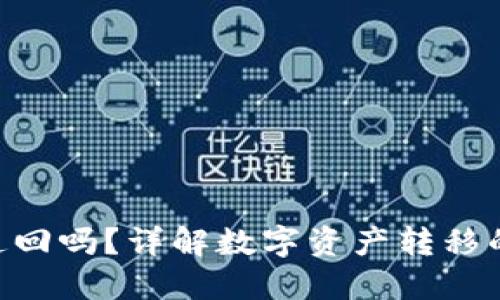 Tokenim转出的币能追回吗？详解数字资产转移的不可逆性与解决方案