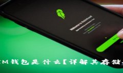 TokenTokenIM钱包是什么？详解其存储功能与安全性