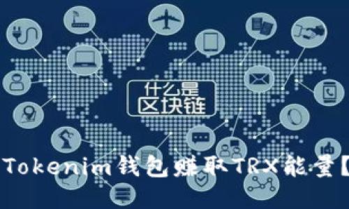 如何通过Tokenim钱包赚取TRX能量？全面指南