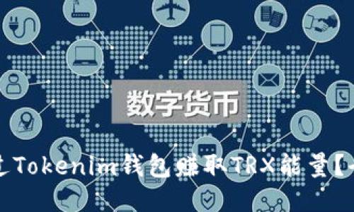 如何通过Tokenim钱包赚取TRX能量？全面指南