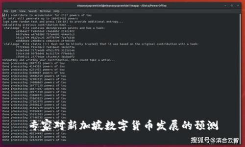 专家对新加坡数字货币发展的预测