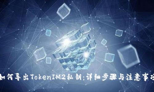 如何导出TokenIM2私钥：详细步骤与注意事项