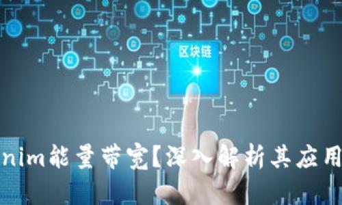 什么是Tokenim能量带宽？深入解析其应用与发展前景
