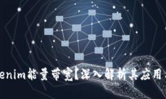 什么是Tokenim能量带宽？深入解析其应用与发展前