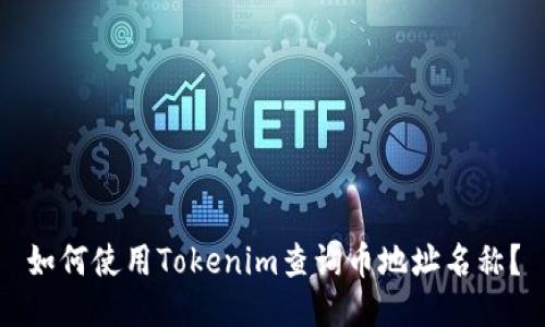 如何使用Tokenim查询币地址名称？