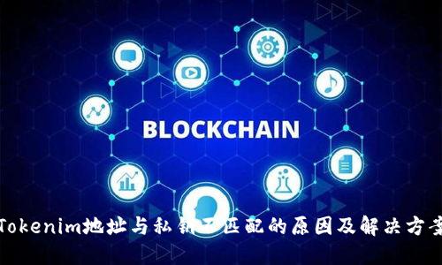 Tokenim地址与私钥不匹配的原因及解决方案