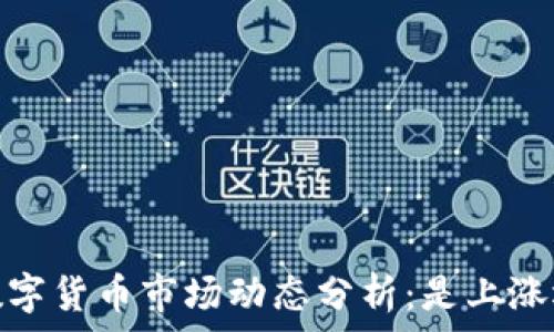  
2023年数字货币市场动态分析：是上涨还是下跌？