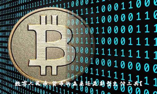 数字人民币：货币的未来还是新型支付工具？