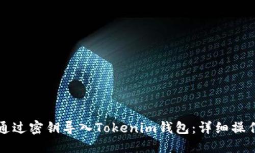 如何通过密钥导入Tokenim钱包：详细操作指南