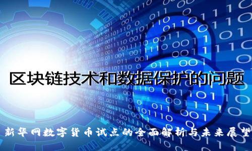 新华网数字货币试点的全面解析与未来展望