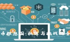 数字货币理想国：机遇与挑战的全面解析