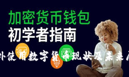 老外使用数字货币现状及未来展望