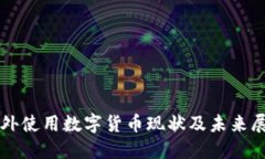 老外使用数字货币现状及未来展望