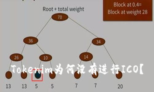 Tokenim为何没有进行ICO？
