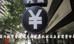 国内数字货币项目的发展现状与未来前景分析