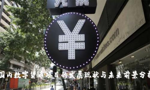 国内数字货币项目的发展现状与未来前景分析