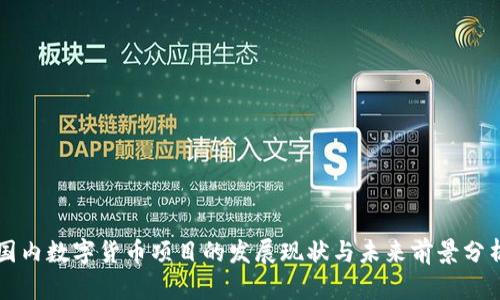 国内数字货币项目的发展现状与未来前景分析